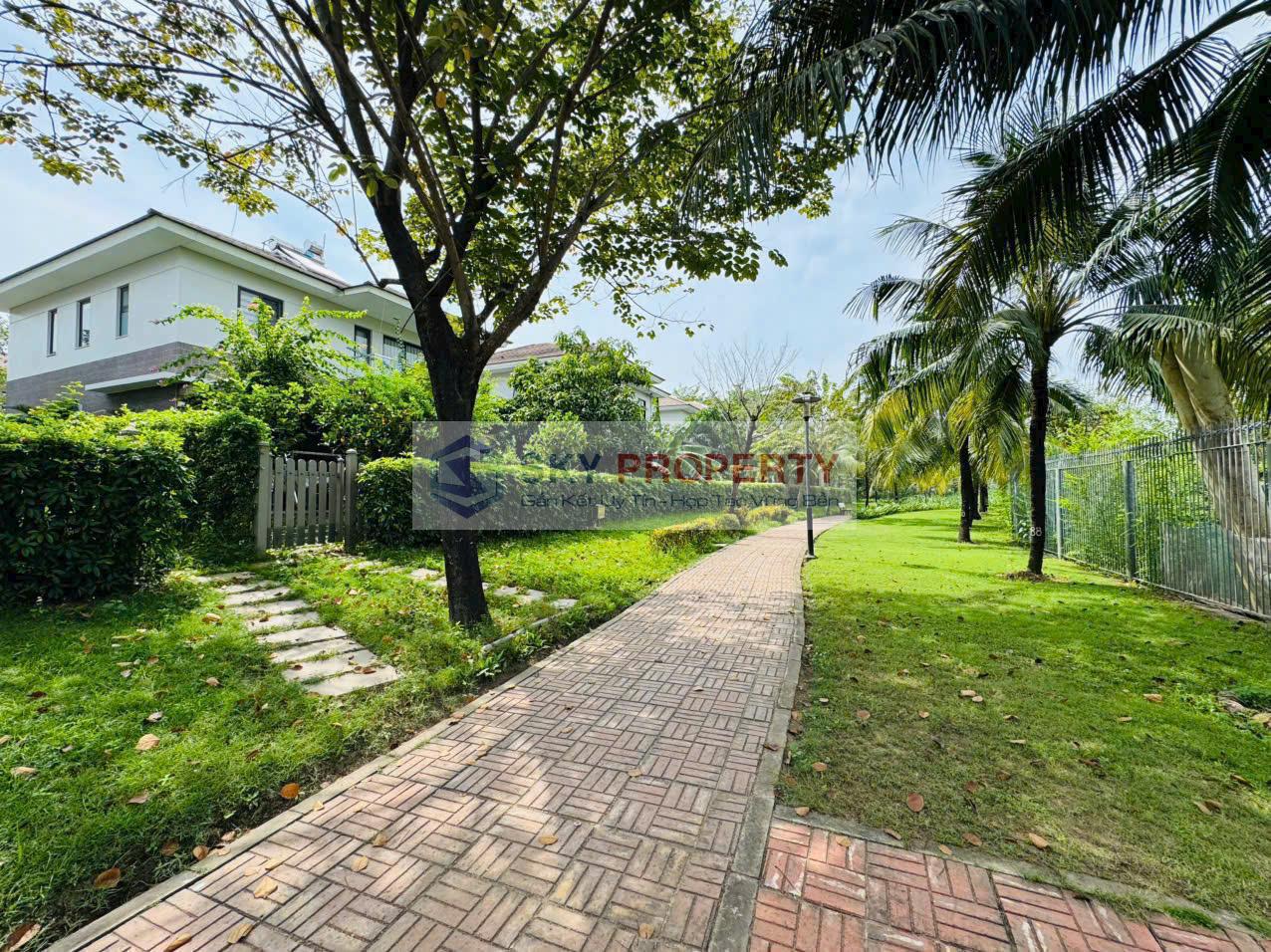 Đường dạo bộ sau nhà